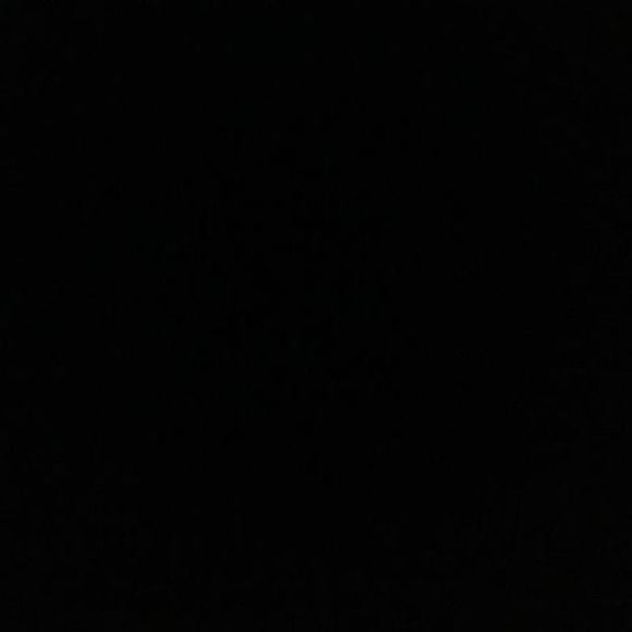 Meet your Posher, Jacob - Picture 1 of 1